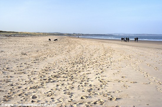 View north along Warkworth Beach, Northumberland Coast.