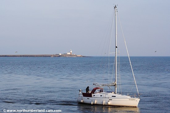 Yacht passing Coquet Island, Northumberland Coast.