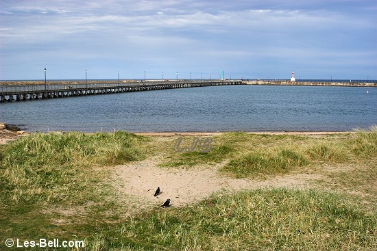 Amble, Northumberland Coast.