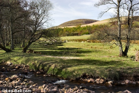 Harthope Valley, Cheviot Hills, Northumberland.