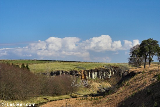 Warks Burn, Stonehaugh, Kielder Forest, Northumberland.