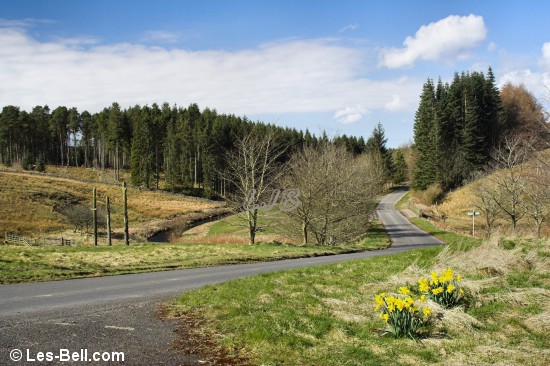Warks Burn, Stonehaugh, Kielder Forest