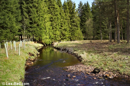 Warks Burn, Stonehaugh, Kielder Forest
