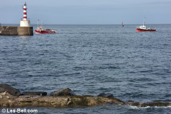 Amble, Northumberland.