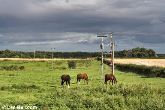Bothal, Northumberland.