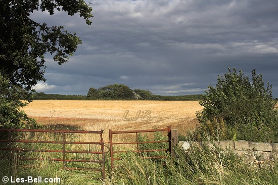 Bothal, Northumberland.