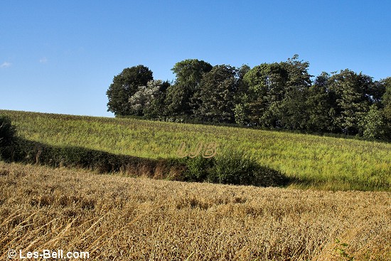 Bothal, Northumberland.