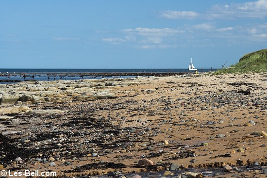Sugar Sands, Northumberland Coast.