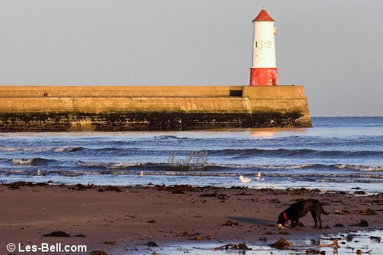 Berwick Pier and Lighthouse.