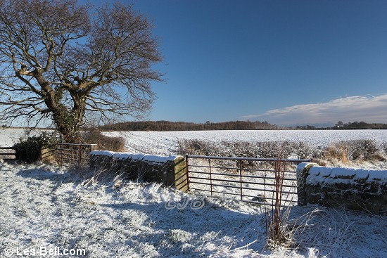 Bothal, Northumberland.