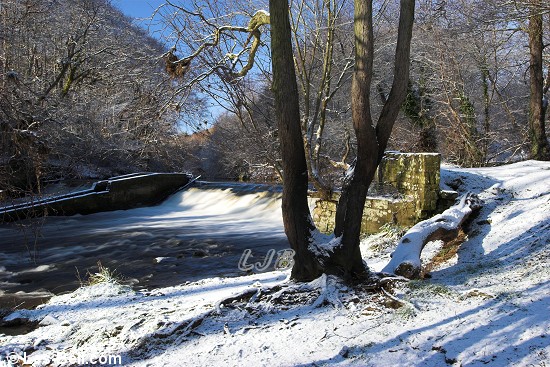 Bothal, Northumberland.
