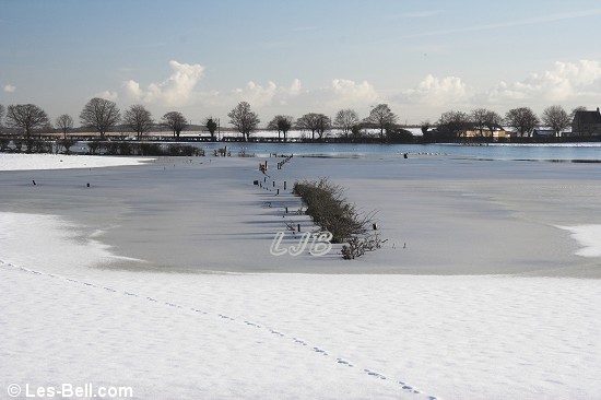 Coney Garth near Ashington, Northumberland.
