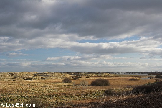 Warkworth dunes, Northumberland.