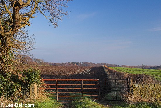Bothal, Northumberland.