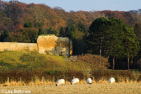 Bothal, Northumberland.