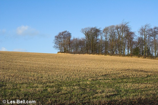 Bothal, Northumberland.