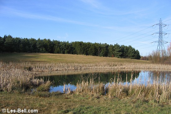 East Cramlington Nature Reserve, Northumberland.