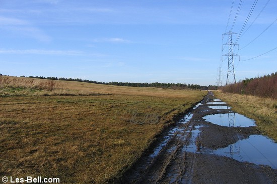 East Cramlington Nature Reserve, Northumberland.