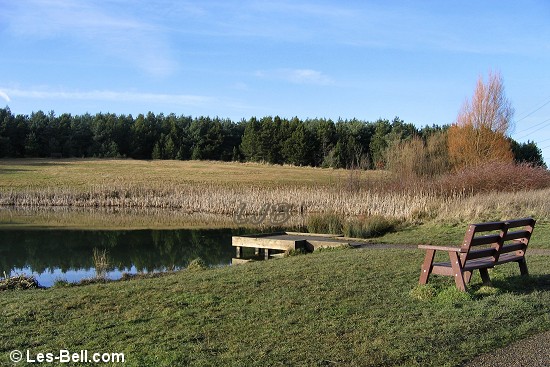 East Cramlington Nature Reserve, Northumberland.