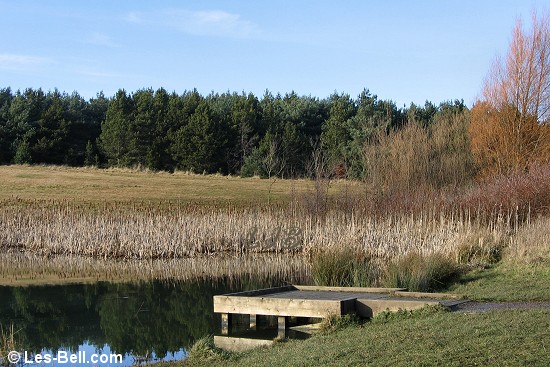 East Cramlington Nature Reserve, Northumberland.
