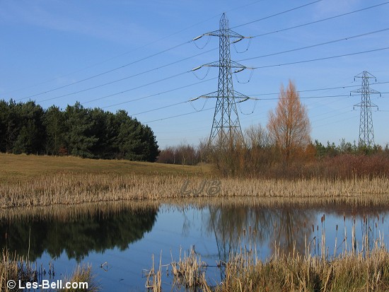East Cramlington Nature Reserve, Northumberland.