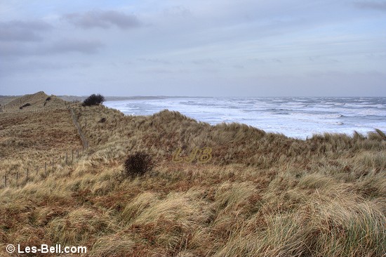 Druridge Bay beach and Nature Reserve, Northumberland.