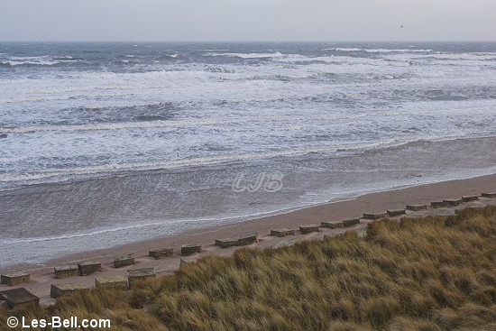 Druridge Bay beach and Nature Reserve, Northumberland.