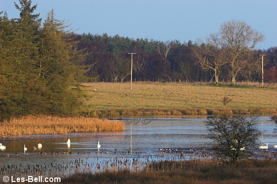 Angerton Lake, a small reservoir between Hartburn Grange and Hartburn Village.