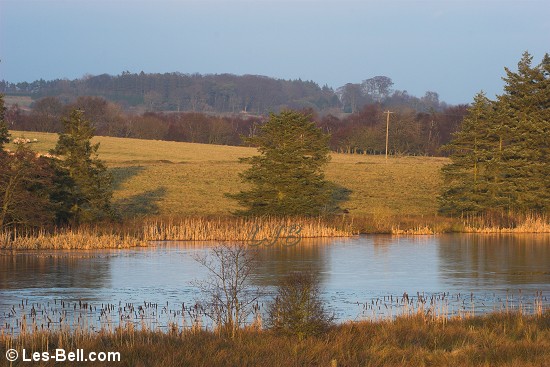 Angerton Lake, a small reservoir between Hartburn Grange and Hartburn Village.