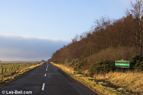 Harwood Forest, Northumberland.