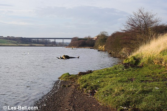 River Wansbeck, North Seaton, Northumberland.