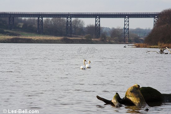 River Wansbeck, North Seaton, Northumberland.