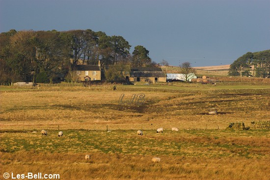 Rothley West Shield, Northumberland.