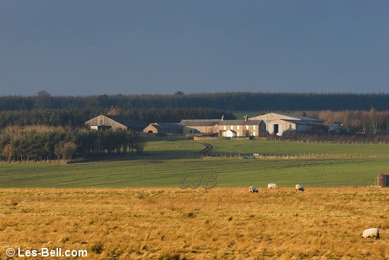 Dyke Head., Northumberland.