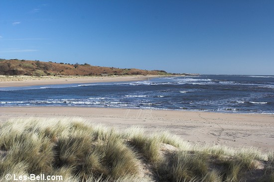 Alnmouth, Northumberland.