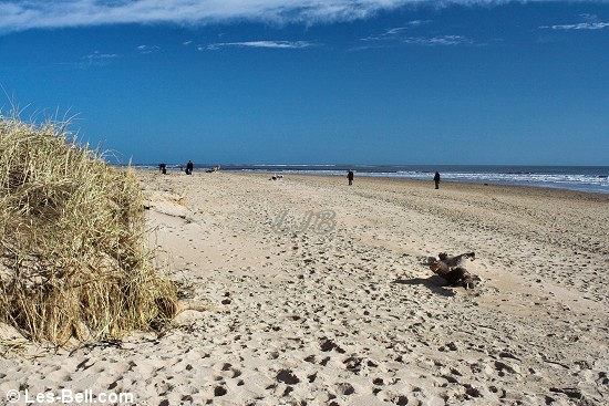 Alnmouth, Northumberland.