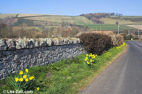 Melrose, River Tweed and Gattonside walk, Scottish Borders.