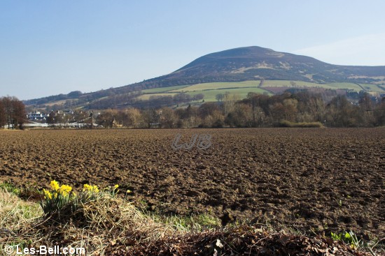 Melrose, River Tweed and Gattonside walk, Scottish Borders.
