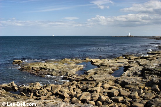 Seaton Sluice, Northumberland.