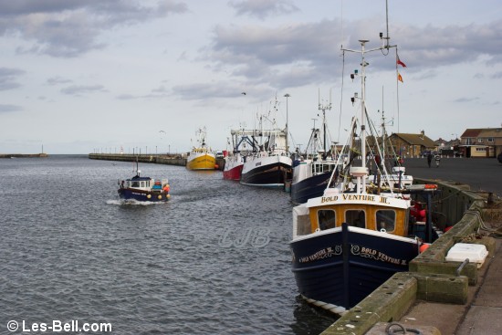 Amble, Northumberland.