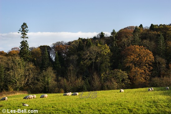 Bothal, Northumberland.