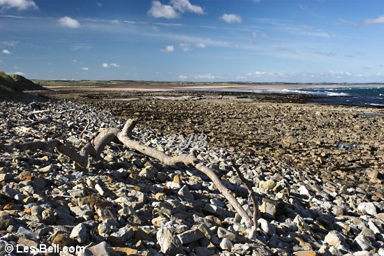 Holy Island, Northumberland.