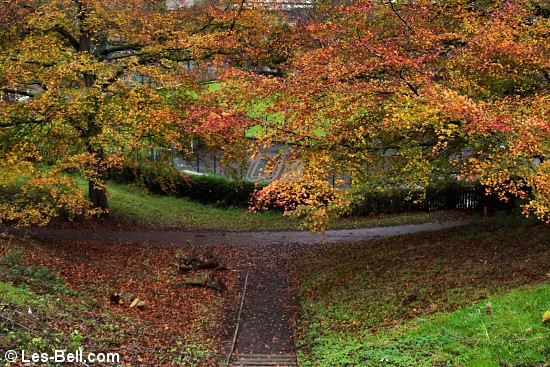 Morpeth, Northumberland.