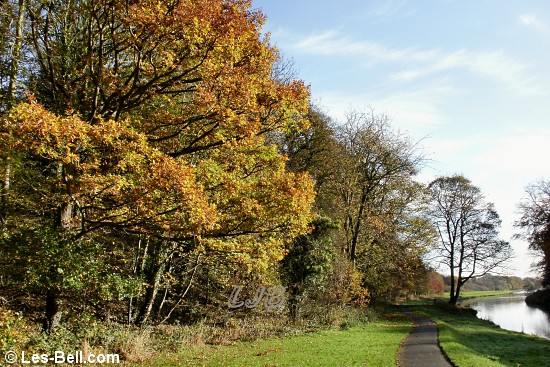Wansbeck Riverside Park, Sheepwash, Northumberland.