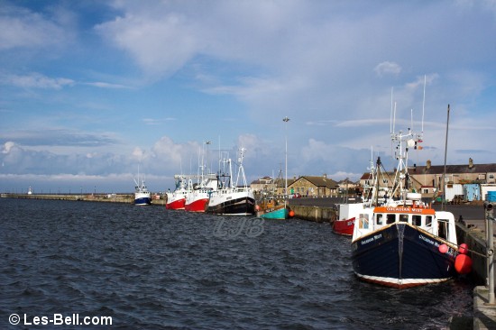 Fishing boats moored at Amble Quayside.