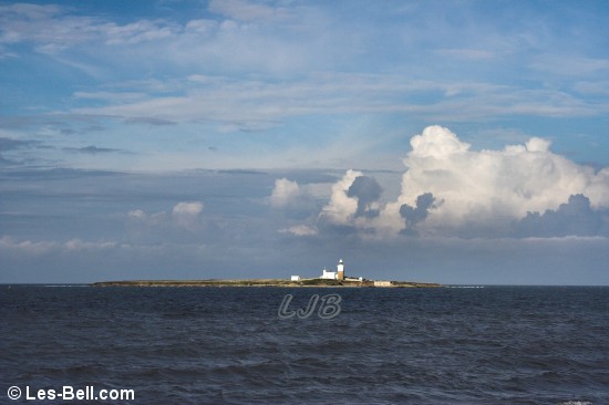 Coquet Island.