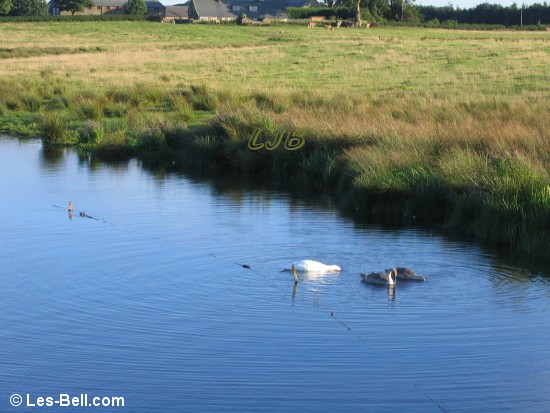 Lake at Coney Garth, near Ashington.