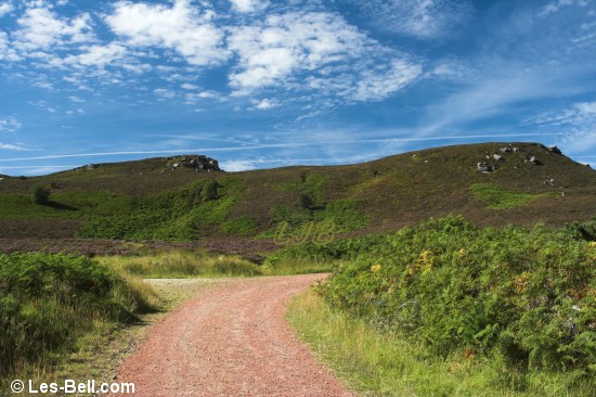 Simonside