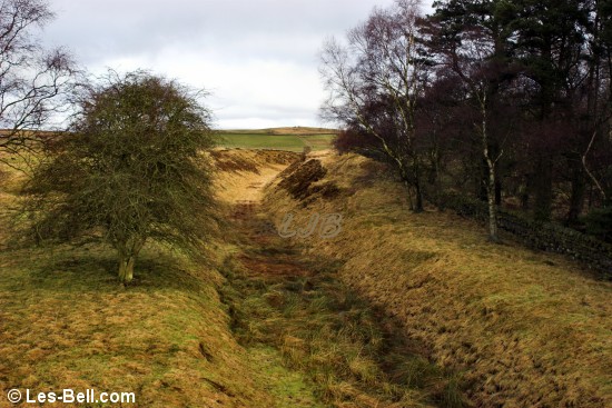 Trackbed of the old railway from Scots Gap to Rothbury.