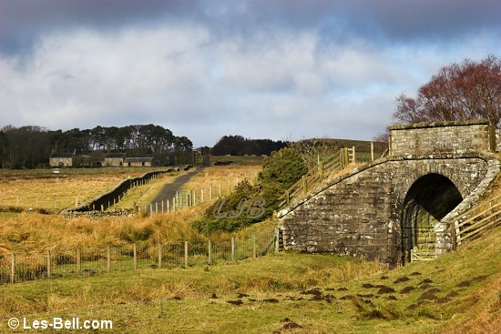 View along the road to Rothley West Shield Northumberland.